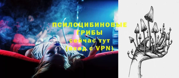 spice Алексин