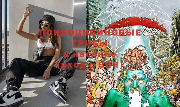 тгк Алзамай