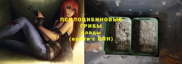 spice Алексин