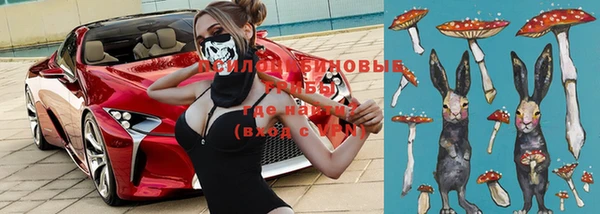 индика Алексеевка