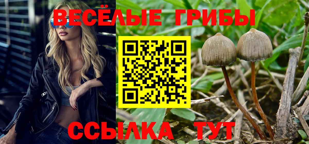 Галлюциногенные грибы ЛСД  Вход с VPN  Балабаново 