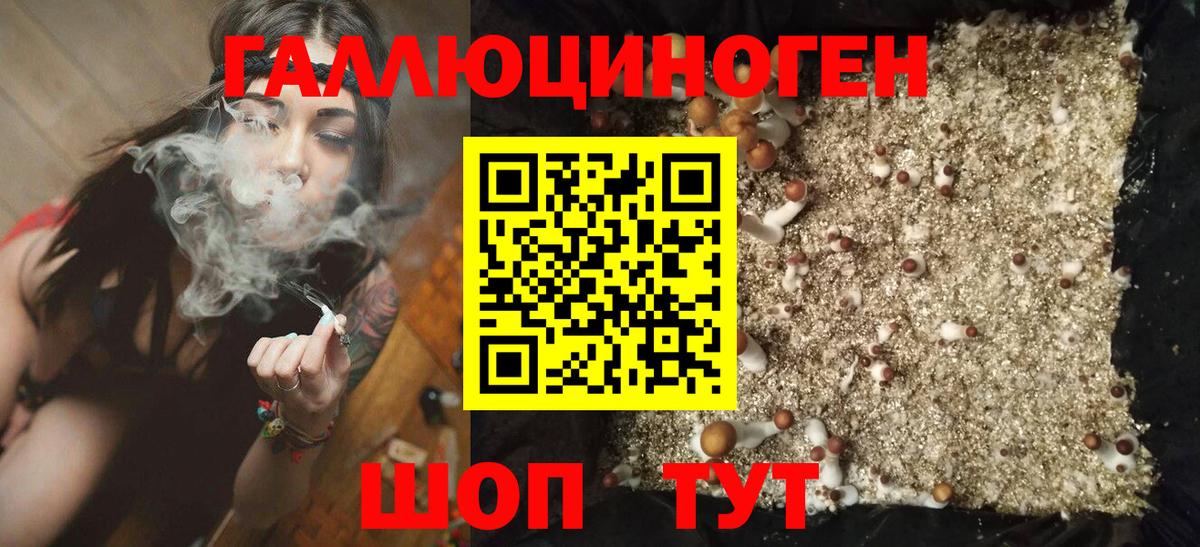 Псилоцибиновые грибы мухоморы Балабаново